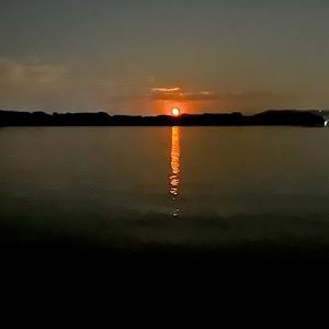 Meet your Posher, Gelver